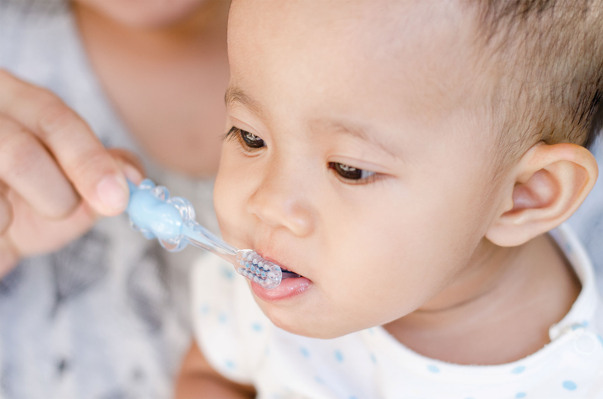 bac_Brushing-Teeth