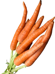 bunch carrots