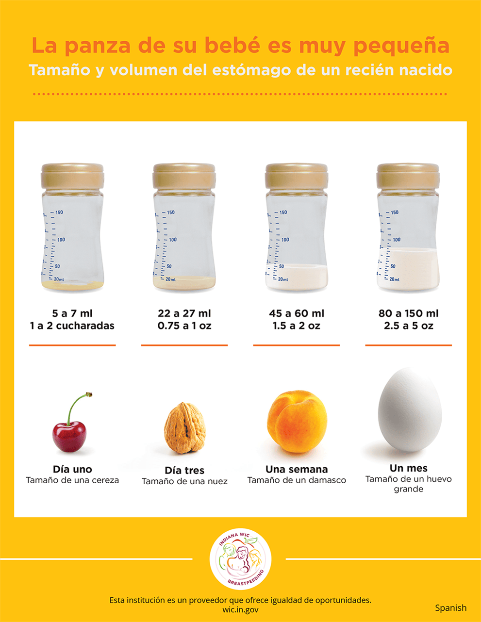 Your Babys Tummy is Very Small