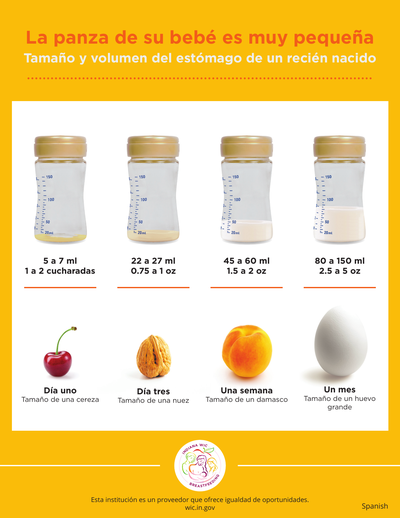 La panza de su bebé es muy pequeña