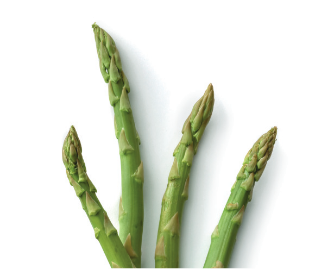 Green asparagus spears