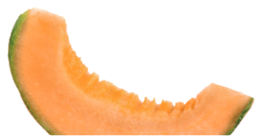 Cantaloupe slice with bite marks.
