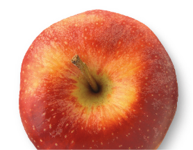 fresh red apple