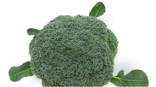 Fresh broccoli head with green leaves.