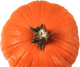 Bright orange pumpkin viewed from above.