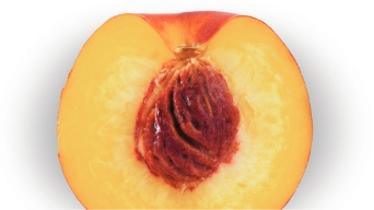 Half peach revealing pit and vibrant flesh.